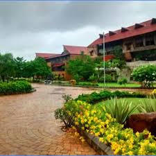 NSS Social Activities